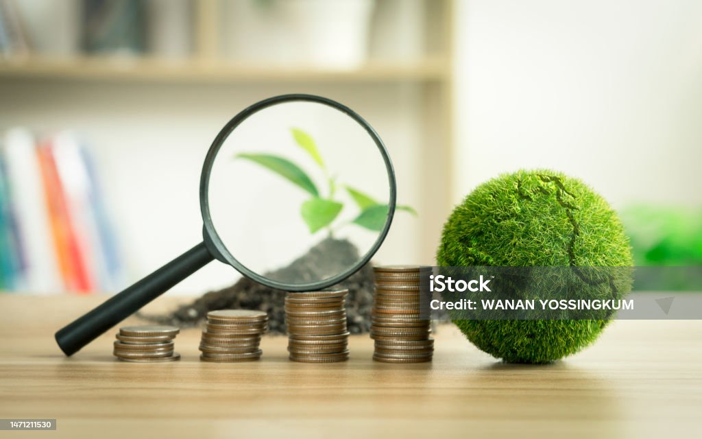 A magnifying glass that shines on a sapling with a coin and a globe.  In business concepts that focus on the environment and long-term sustainability goals, etc.